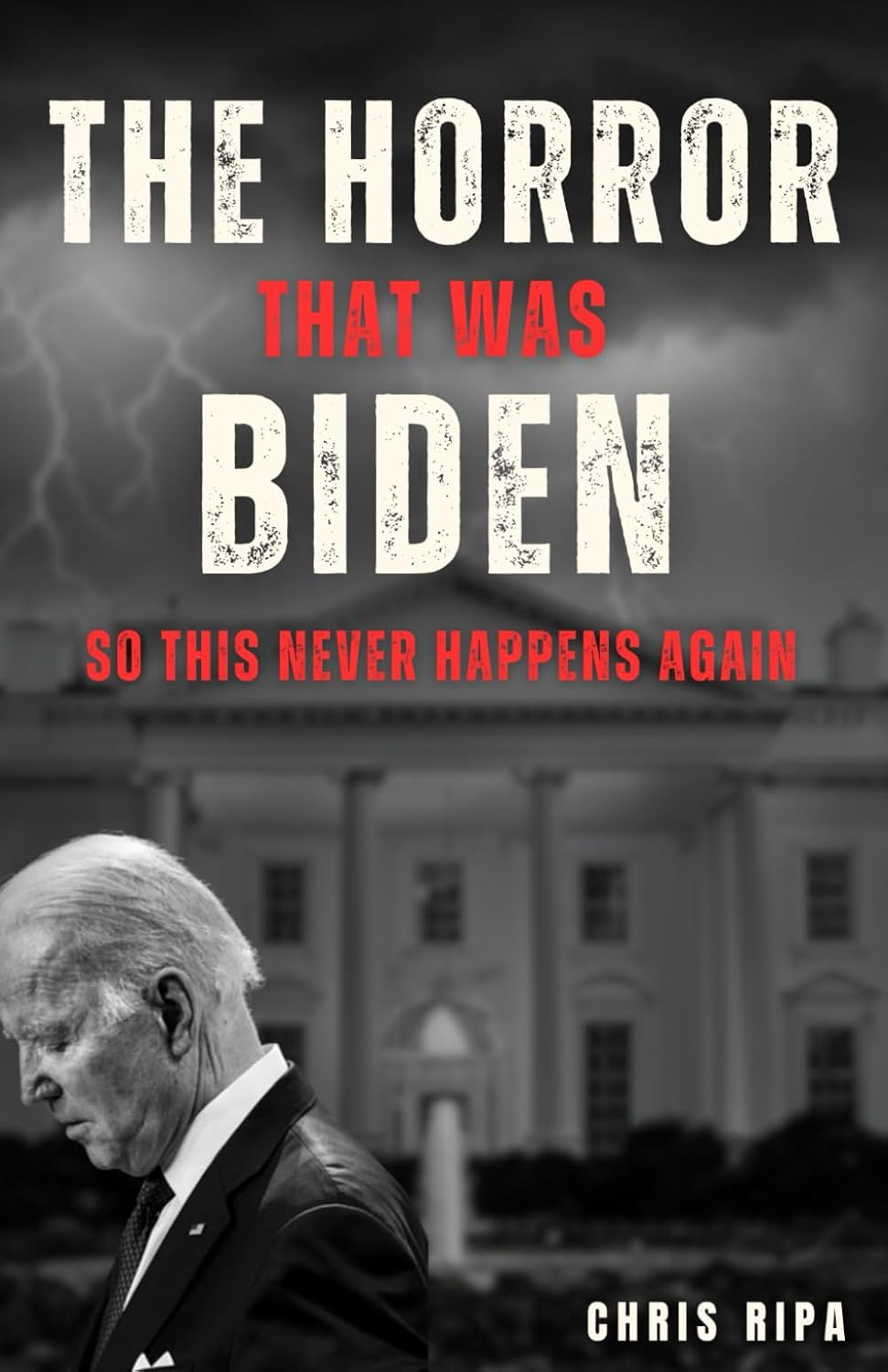 The Horror That Was Biden: So This Never Happens Again