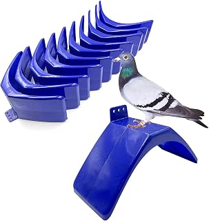 Pigeon Perch,Racing Pigeons Loft Perches Supplies,10PCS Lightweight Dove Rest Stand for Pigeon and Birds