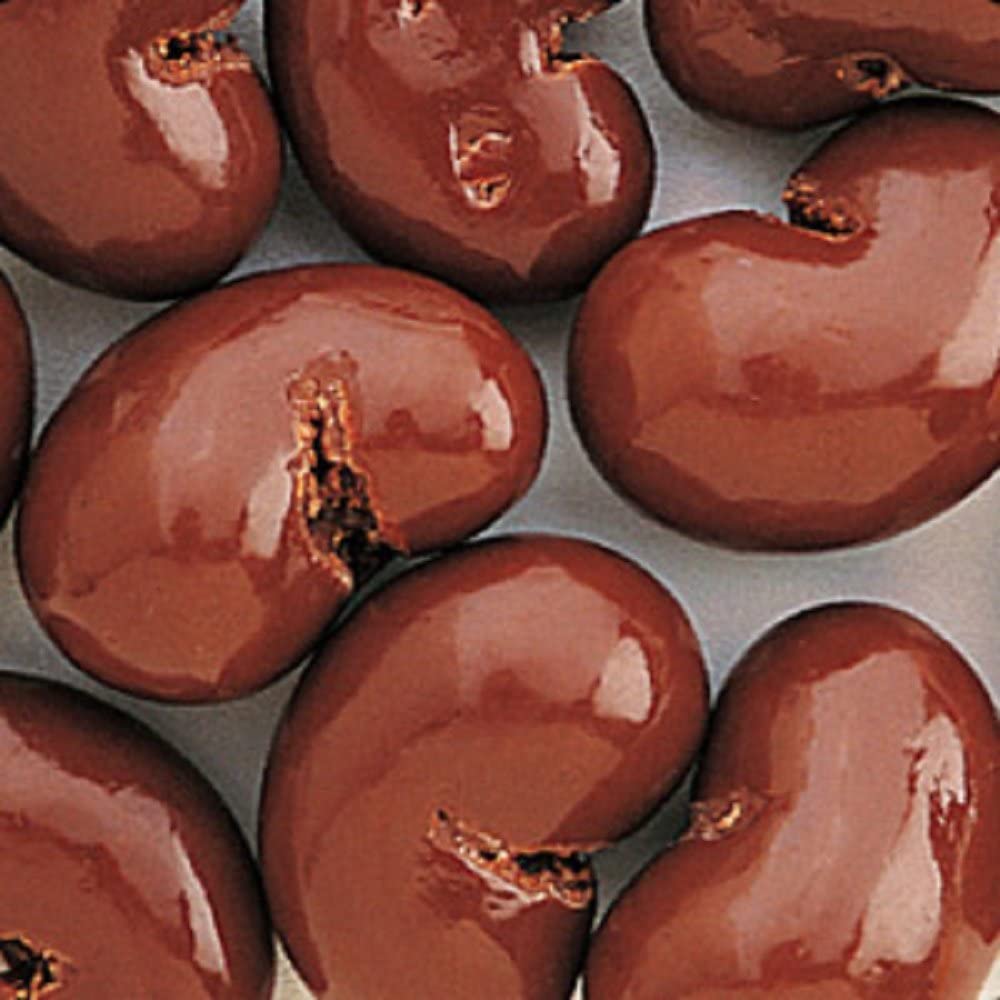 Gourmet Milk Chocolate Covered Cashews 1LB Bag