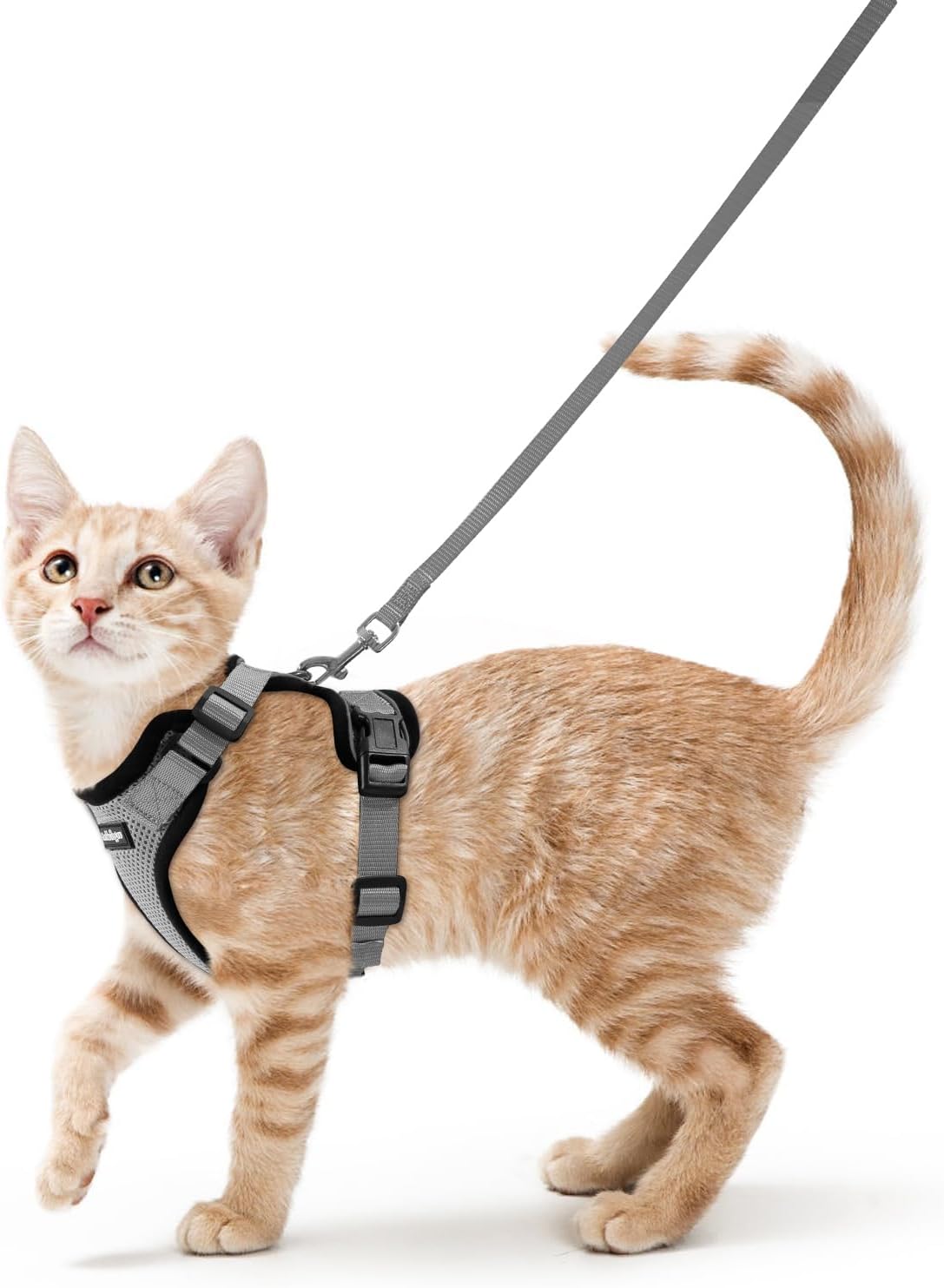 rabbitgoo Cat Harness and Leash Set, Escape Proof Vest, Grey