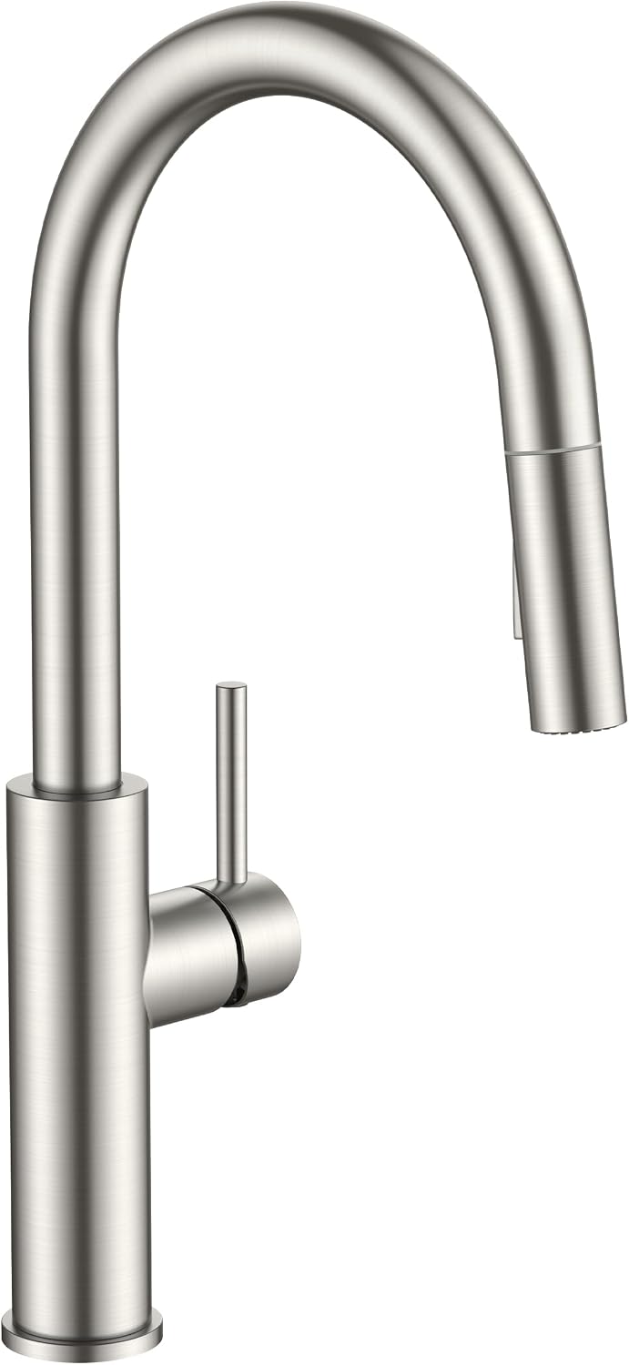 FORIOUS Kitchen Faucet with Pull Down Sprayer, Classic High Stainless Steel