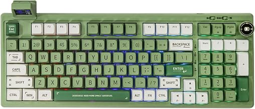 EPOMAKER RT100 97 Keys Gasket BT5.0/2.4G/USB-C Mechanical Keyboard with Customizable Display Screen, Knob, Hot Swappable Socket, 5000mAh Battery for Win/Mac(RT100 Green, Sea Salt Silent Switch)
