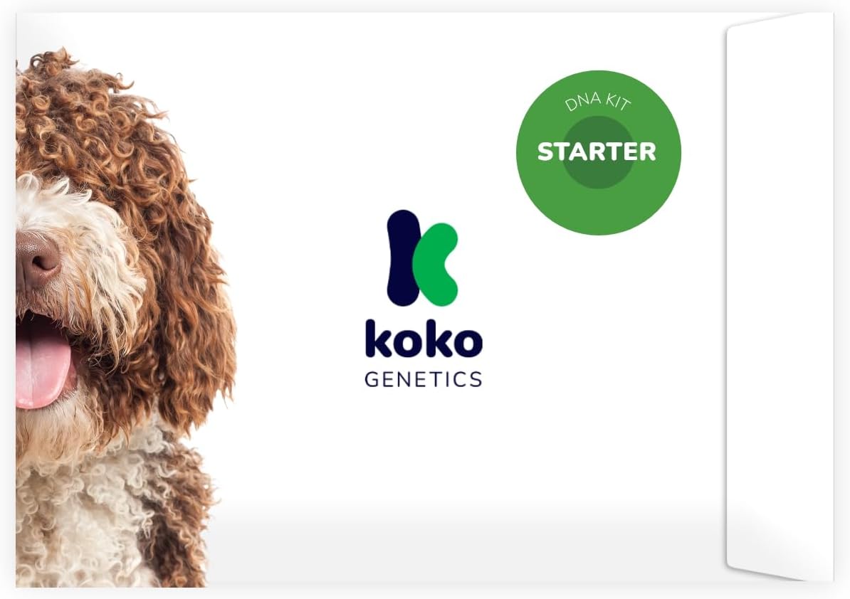 DNA Test for Dogs Starter (Breeds and Traits Reports) - Upgrades at no cost