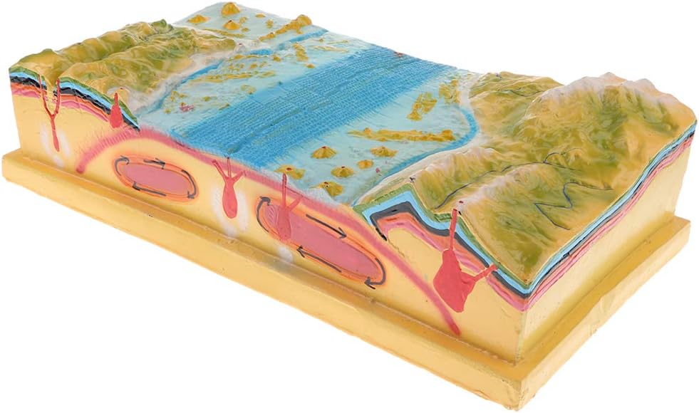 Fenteer Scientific Geology School Teaching Aids - 3D Plate Tectonics Model display set