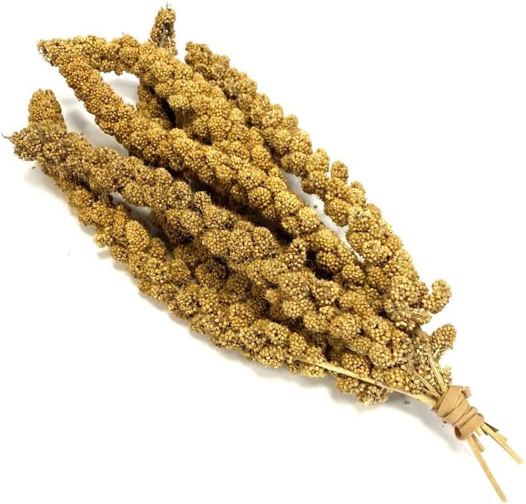 MALTBYS' STORES 1904 LTD Millet Sprays 15kg Premium Cage Bird Food Seed
