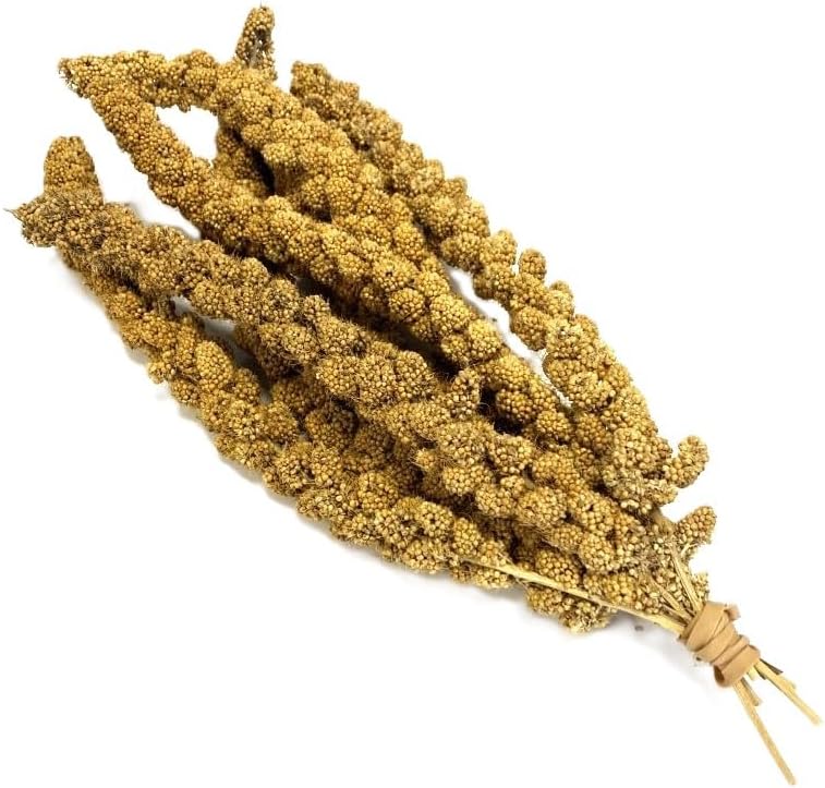 Maltbys' Stores 10x Millet Sprays Premium Cage Bird Food Seed
