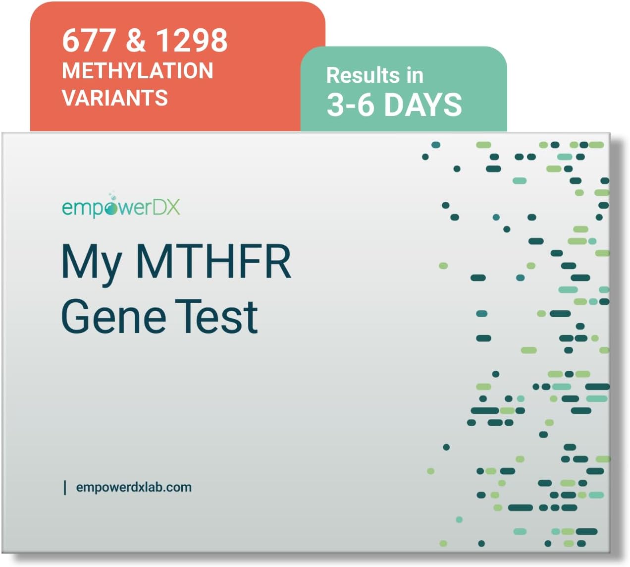 empowerDX MTHFR Gene Test Kit, Methylation Test, Easy At-Home Test Detects Presence of 677 and 1298 MTHFR Gene Variants, Ages 2+, Fast Results Within 6 Days