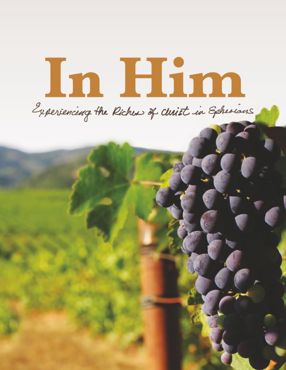 In Him: Experiencing the Riches of Christ in Ephesians
