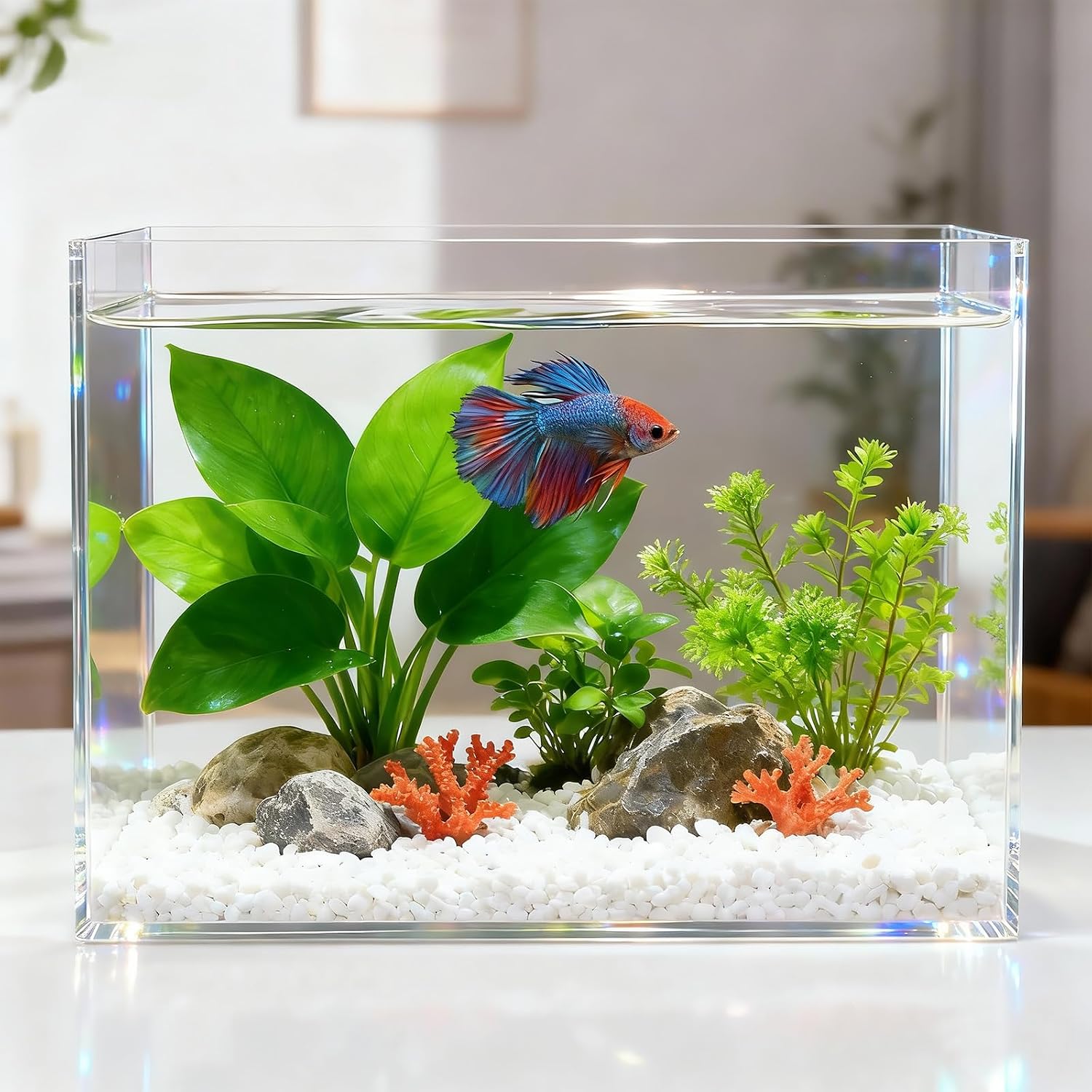 3 Gallon Acrylic Fish Tank with Mat, Small Aquarium for Raising Betta Fish, Goldfish, Snails, Snakes, Shrimp, and Aquatic Plants, Easy to Maintain