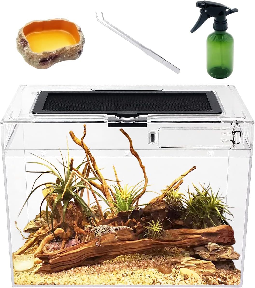 Mini Reptile Terrarium,12" x 7"x 9" Reptile Tank with Full View Visually Appealing,for Insect,Fish,Tarantula,Hermit crab,Jumping spider,Iguana,Tortoise,Leopard Gecko,Frog,Bearded dragon