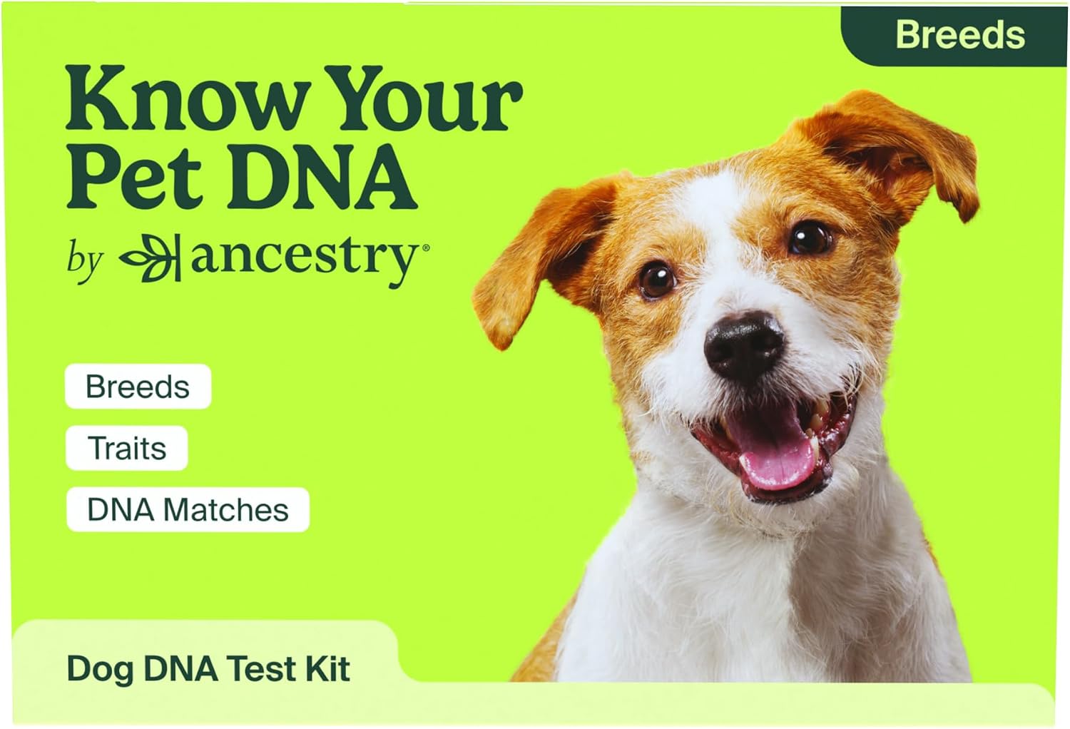 Know Your Pet DNA by Ancestry: Dog DNA Breed Identification Test, Genetic Traits, DNA Matches, Dog DNA Test