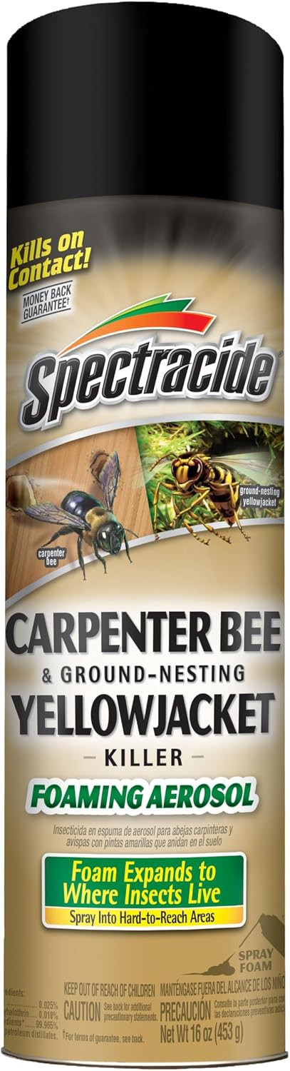 Spectracide Carpenter Bee and Ground Nesting Yellow Jacket Foaming Aerosol for Insects, 16-Ounce