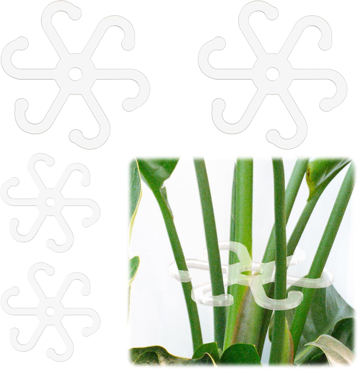 BOXOB 4pcs Climbing Houseplant Stem Supports with Holes, 2 Sizes Flower Plant Stem Hook Stakes Trellis Reusable Invisible Plastic Plant Stem Support Holders for Monstera Vertical Growth (Transparent)