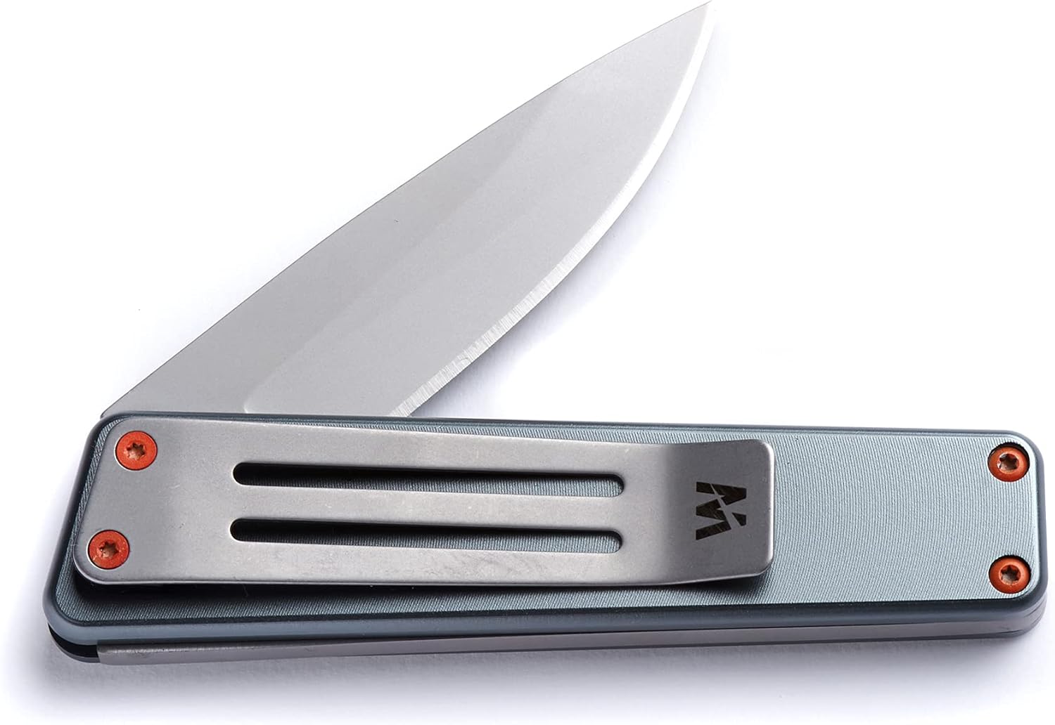 Whitby Pocket Knife, 2.5" Mint Stainless Steel Folding Knives Titanium Grey Finish, Stylish High Performance, Non Locking EDC Blade, Portable for Camping Hiking Backpacking