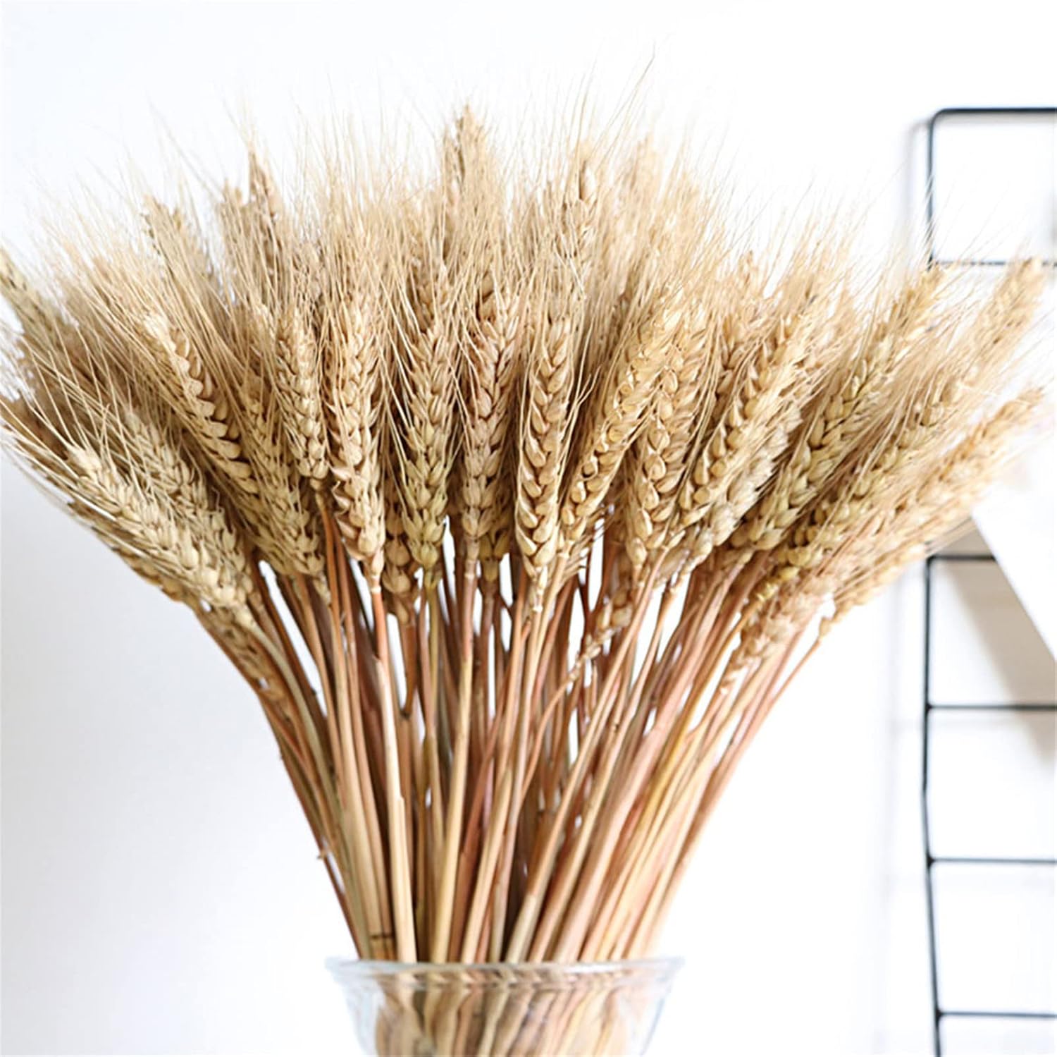 100 Stems 55cm Dried Wheat Sheaves, Natural Wheat Stalks Bundle Fall Arrangement for Craft, Home Table, Wedding