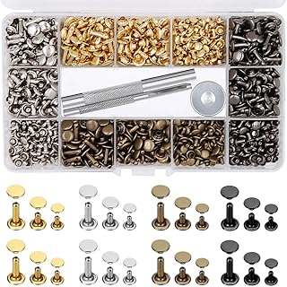 EuTengHao 484Pcs Leather Rivets Double Cap Rivet Tubular Metal Studs 3 Sizes with Punch Pliers and 3Pcs Setting Tool Kit for Leather Craft Repairs Decoration (Gold,Silver,Bronze,Gunmetal, 4 Colors)