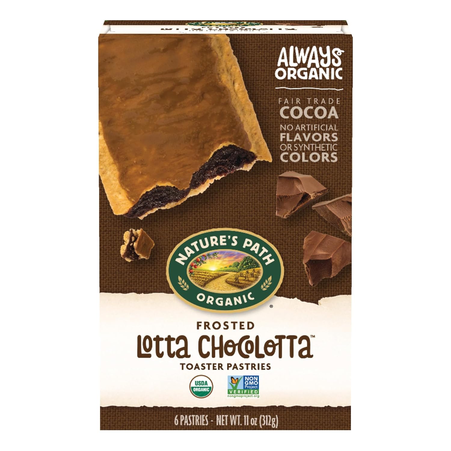 Nature's Path Organic Frosted Lotta Chocolotta Toaster Pastries, 11 oz (Pack of 12), Non-GMO
