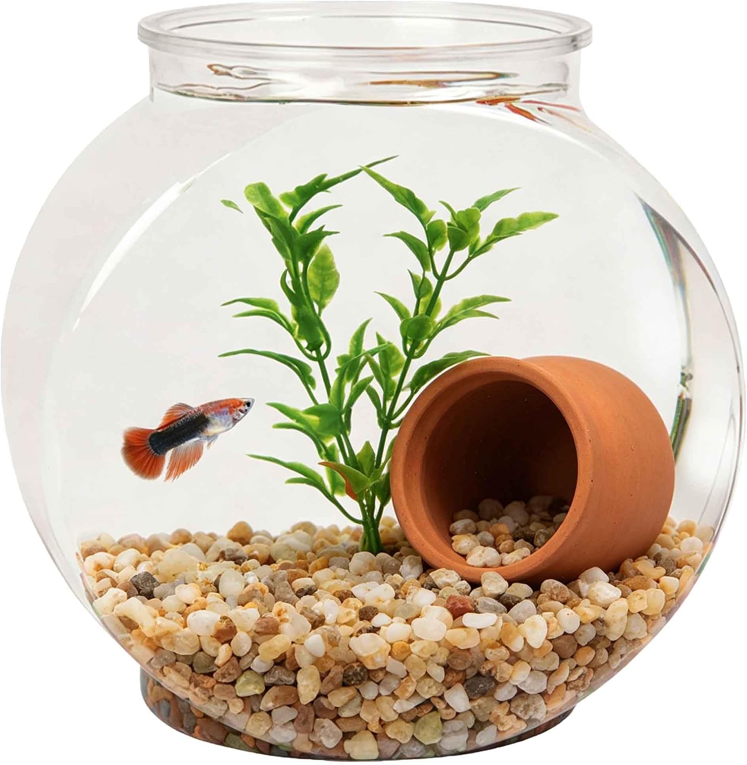 Koller Products 1-Gallon Plastic Oval Fish Bowl, Temporary Fish Tank for Betta Shrimps Snails, Fry, Isolation, Fish Breeding, Classroom Education & Decoration