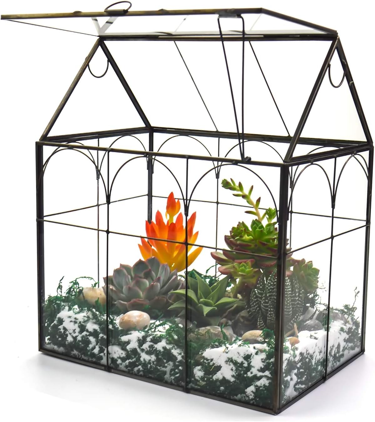 Large Tall Glass Plant Terrarium – Decorative House Glass Terrarium with Lid,Indoor Desk Tabletop Terrarium glass container for Orchid Succulent Cacti Fern Moss Housewarming Gift (Black 02)