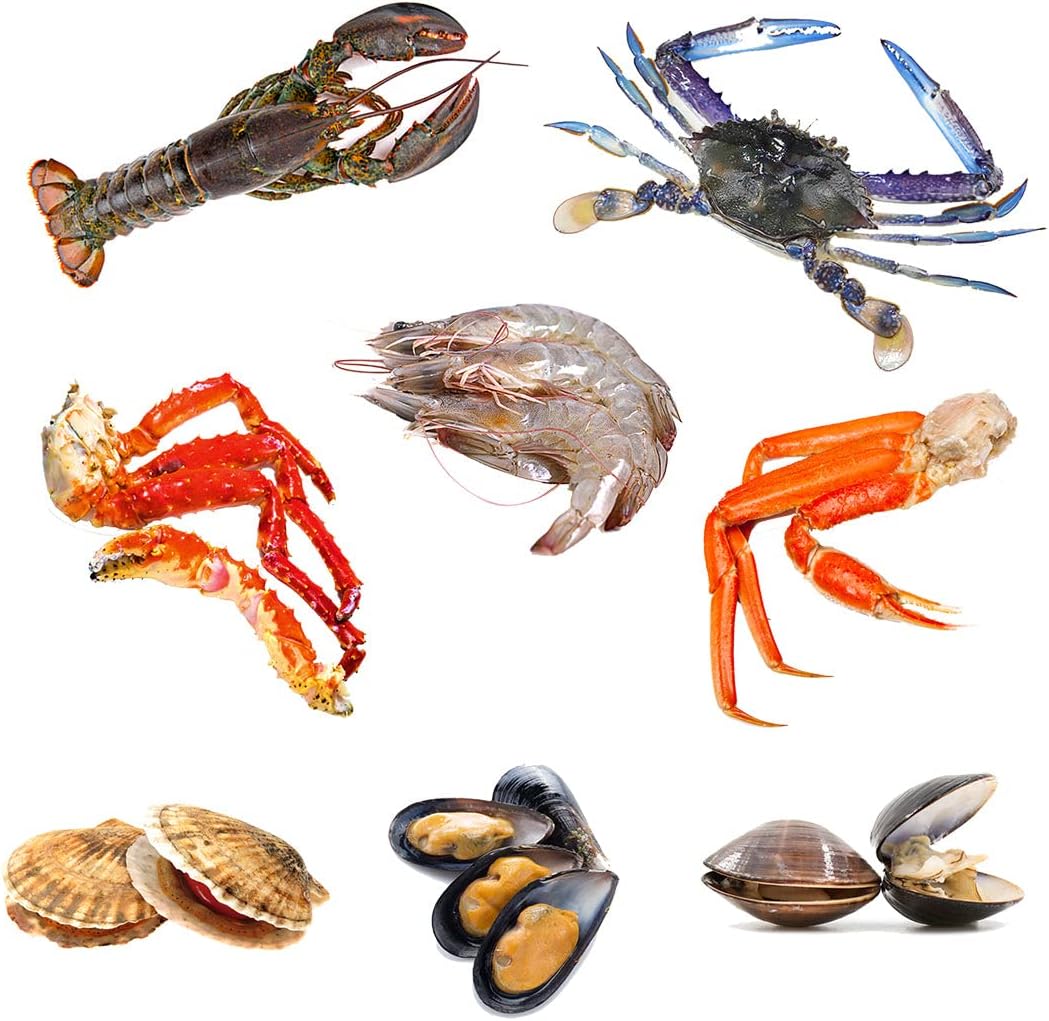 Premium Seafood Boil Box 5 | 8 Ingredients | Lobster, Blue Crabs, Shrimp, Clams, Scallops, Mussels, Snow Crabs, King Crab Legs | Fresh Frozen | 7.3kg Party Seafood Mix
