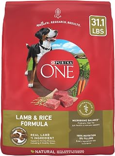 Purina ONE Dry Dog Food Lamb and Rice Formula - 31.1 lb. Bag