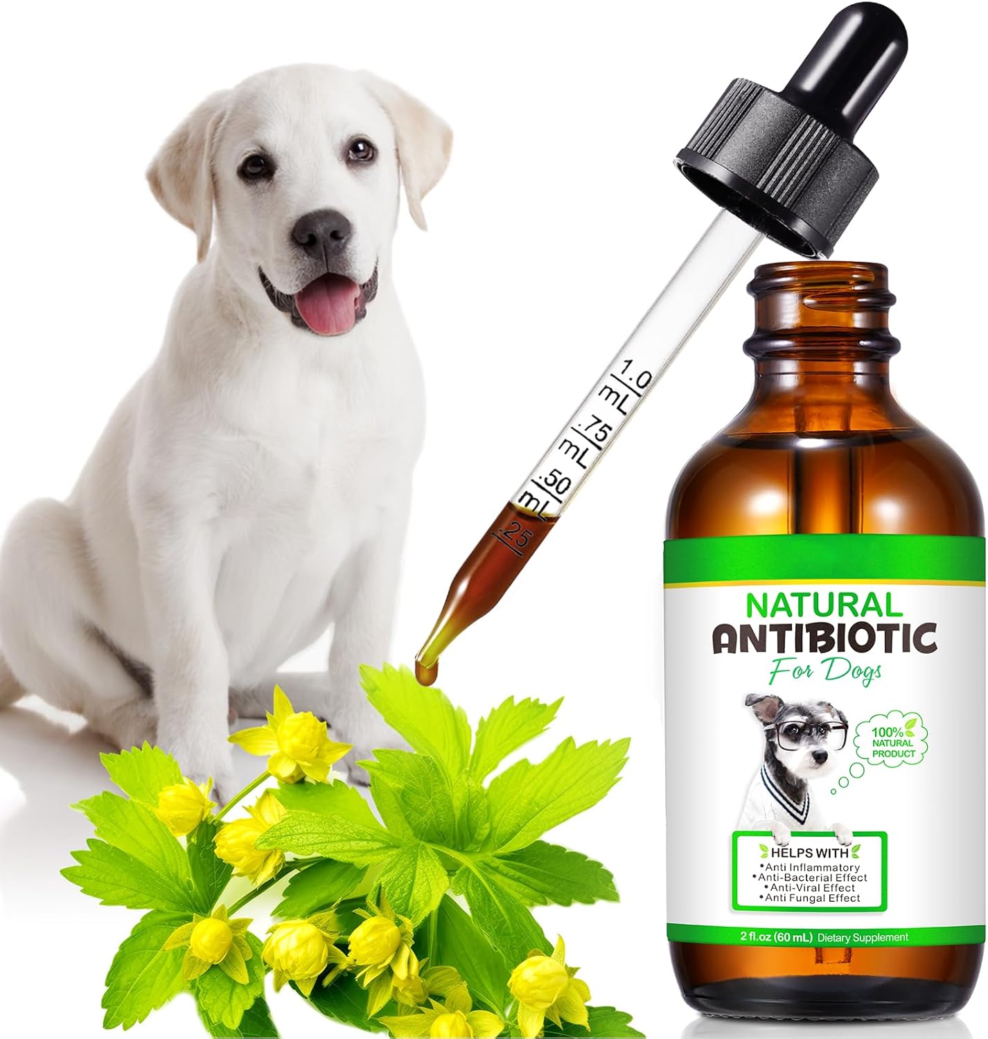 Antibiotics for Dogs Dog Antibiotics Yeast Treatment for Dogs Probiotics Dog Allergy & Itch Relief Treatment, Yeast Infection, Ear Infection