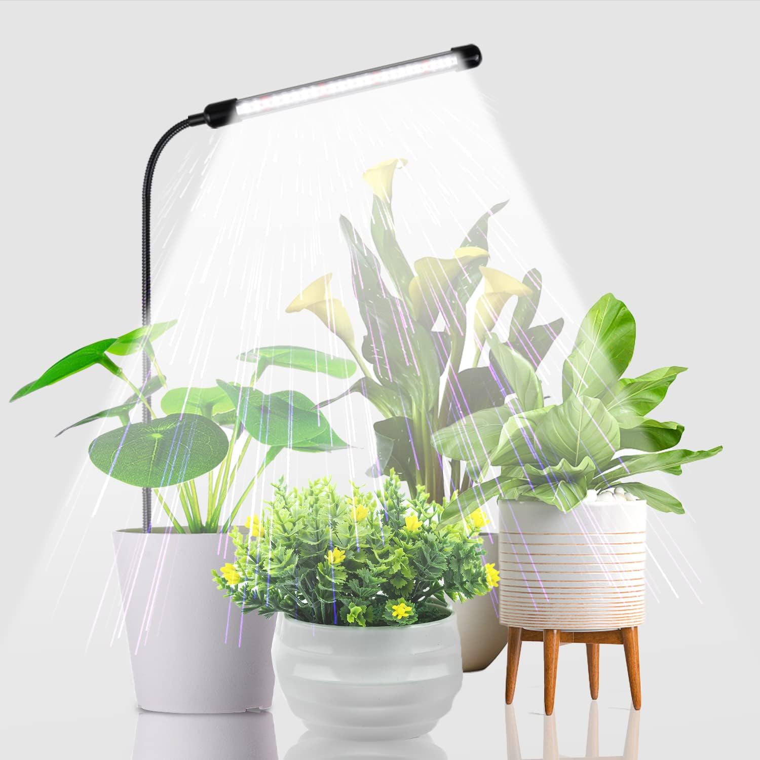 Juhefa Grow Light for Indoor Plants Growing, 6000K Full Spectrum Gooseneck Plant Lamp for Seedings Succulents Small Plants, Auto On/Off Timing & 5 Dimming, 1-Pack
