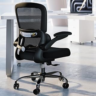 Office Chair - Ergonomic Desk Chair with Adjustable Lumbar Support, Mesh Computer Chair, Executive Chair for Home Office Comfortable Lumbar Support (Black)