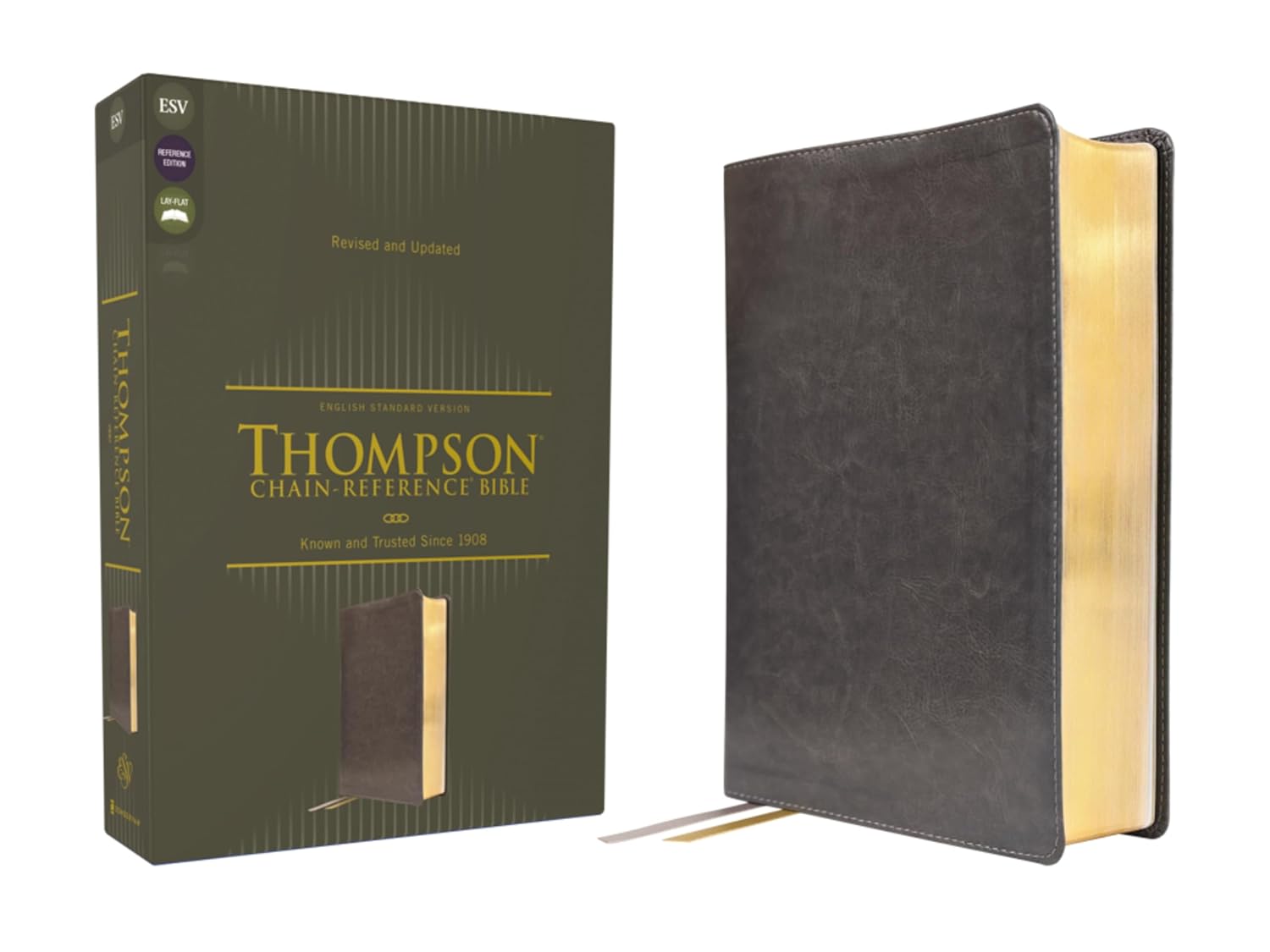 ESV, Thompson Chain-Reference Bible, Leathersoft, Gray, Red Letter: English Standard Version, Gray, Leathersoft, Thompson Chain-Reference, Red Letter