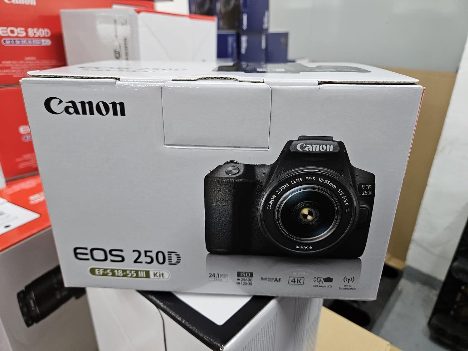EOS 250D digital camera (24.1 megapixels,EF-S 18-55mm f/3.5-5,6 III lens black