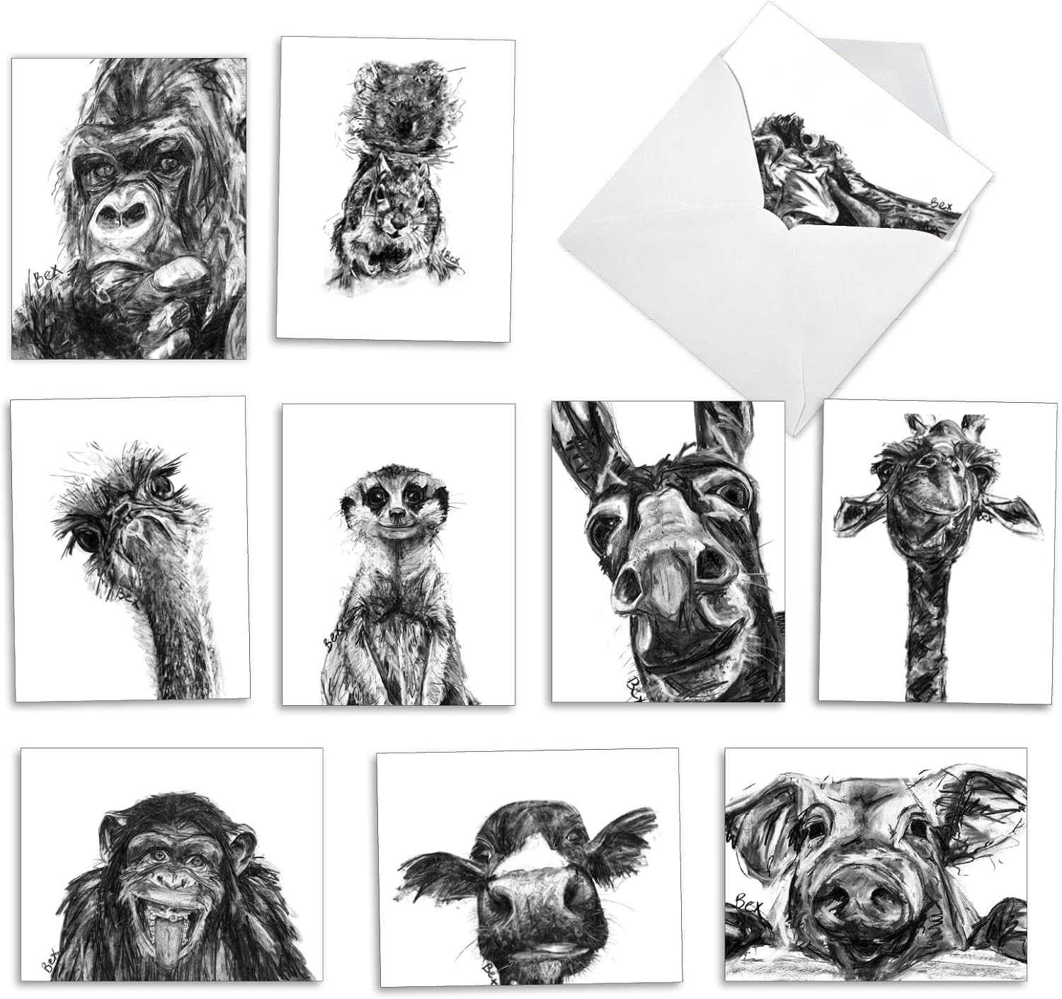 The Best Card Company - 10 Assorted Blank All Occasions Notecards Boxed Set 4 x 5.12 Inch with Envelopes (10 Designs, 1 Each) Boxed Assorted Kid Cards of Pets - CHARCOAL ANIMALS M2956OCB