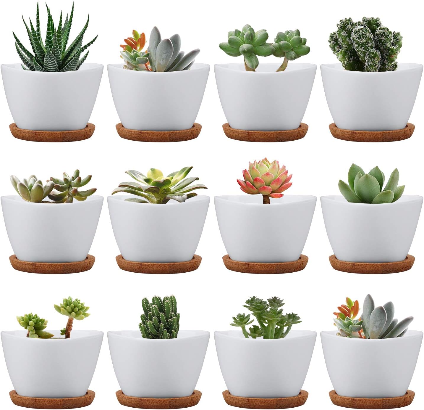 Succluent Pots ,Small Flower Pots Planter Pots with Drinage,Ceramic Flowers Pots with Bamboo Tray for Cactus(12 Pack)