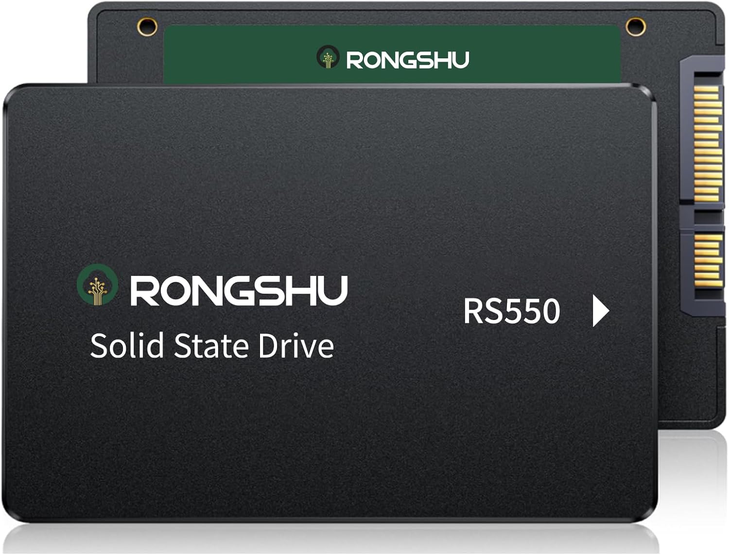 256GB SATA SSD 2.5'' Internal Solid State Drive, SATA III 6 Gb/s Read Speed Up to 550 MB/s 3D NAND Internal SSD, Upgrade Laptop PC/Desktops (RS550)