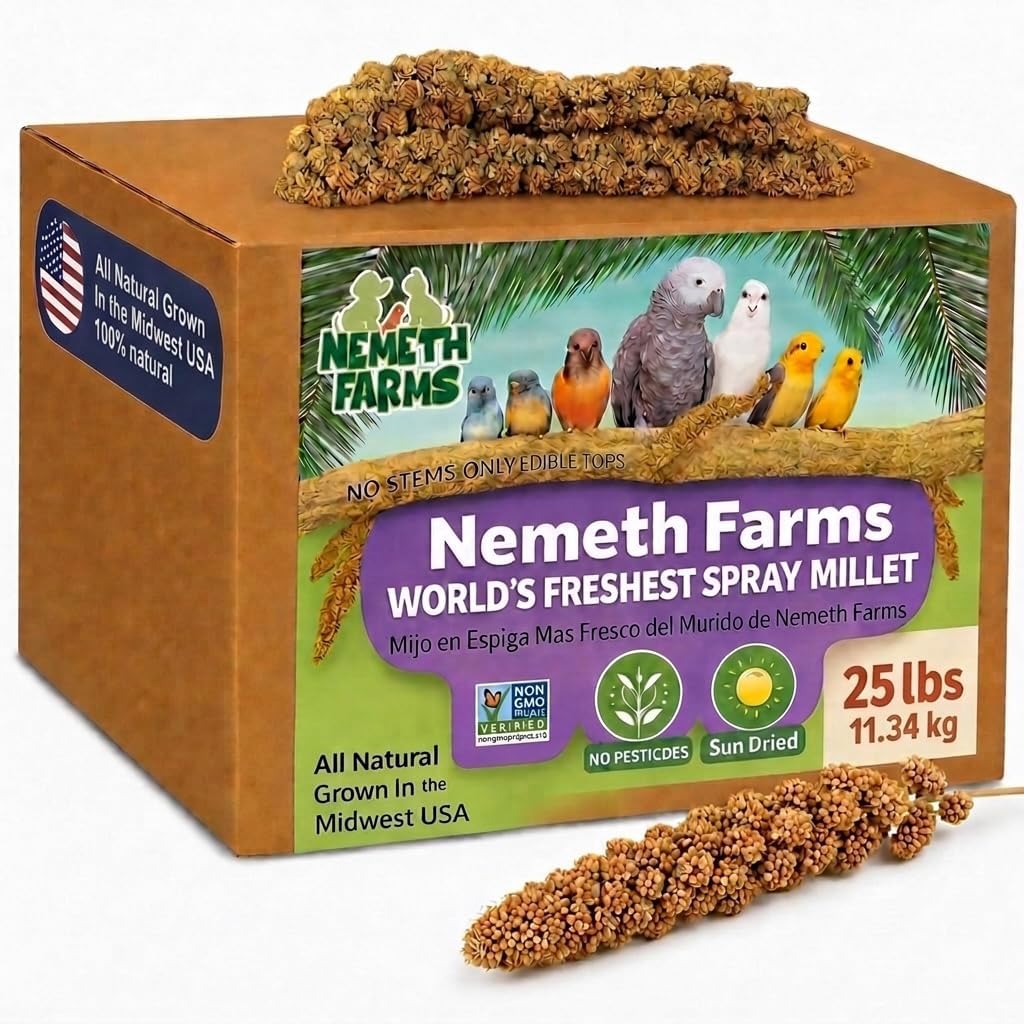 Nemeth Farms Spray Millet - Edible Tops Only, Non-GMO and Sun-Dried - 5 lbs for Parakeets, Conures and Cockatiels