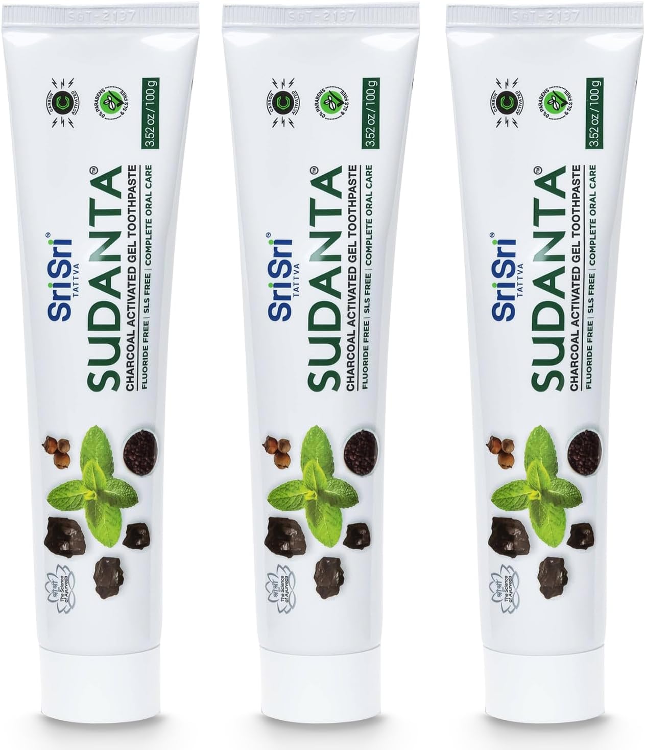 Sri Sri Tattva Sudanta Charcoal Toothpaste Gel – SLS, Fluoride Free Herbal Toothpaste with Neem & Ayurvedic Herbs – Natural Teeth Whitening, Fresh Breath, Oral & Gum Health – 100g Tube (Pack of 3)