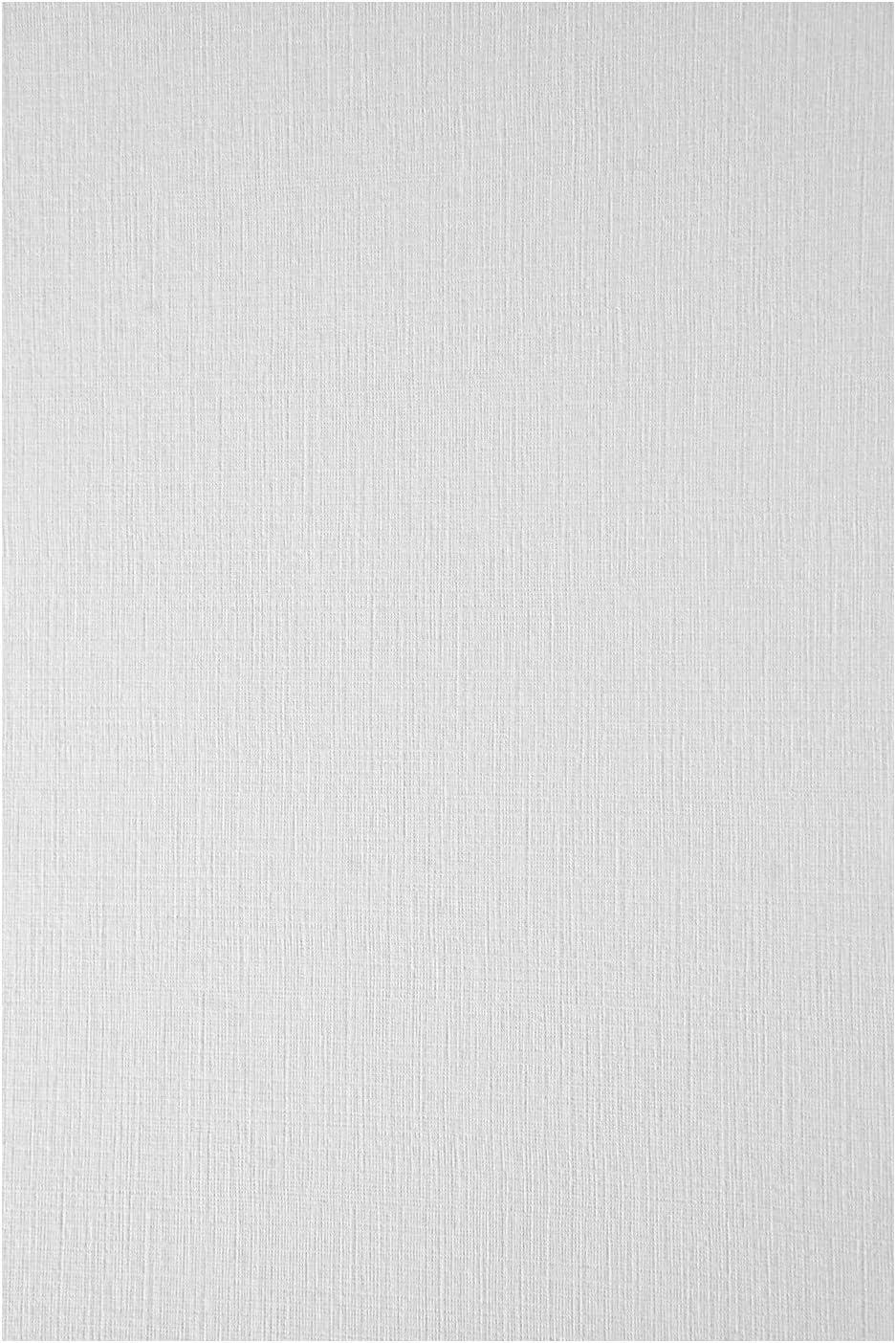 Netuno 20x White mesh Embossed cardstock A4 210x297mm 8.3x11.7in 246gsm Elfenbein Textured Paper Decorative cardstock for Invitations menus Photo Albums Table Cards Covers Business Cards Flyers