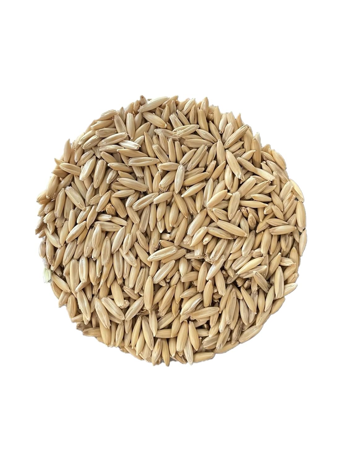 AA Plus Shop Premium Triple Cleaned Whole Oats, Horse Feed, Garden Grass Growing and Mushroom Growing, 10lb Bag
