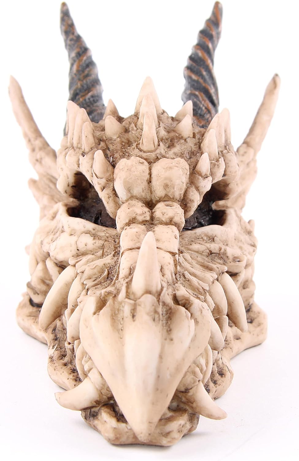 Puckator Dragon Skull Money Box - Mystery Lock Box - Fantasy Coin Piggy Bank Savings Challange - Money Pot - Kids Safe - Cool Things - Money Safe - Resin