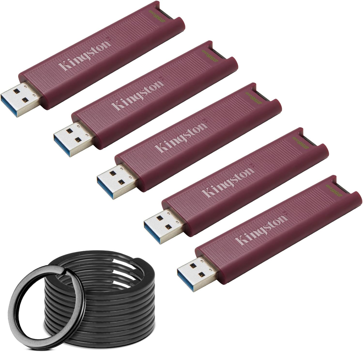 Kingston DataTraveler Max Type-A 256GB High Performance USB Flash Drive (5-Pack) Bundle with Focus Camera Stainless Steel Keyrings (10-Pack) (6 Items)