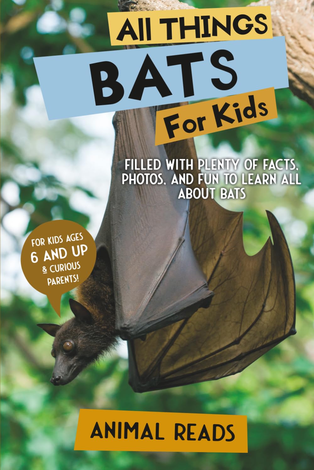 All Things Bats For Kids: Filled With Plenty of Facts, Photos, and Fun to Learn all About Bats