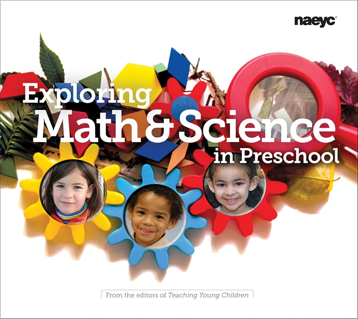 Exploring Math and Science in Preschool (The Preschool Teacher's Library of Playful Practice Set)
