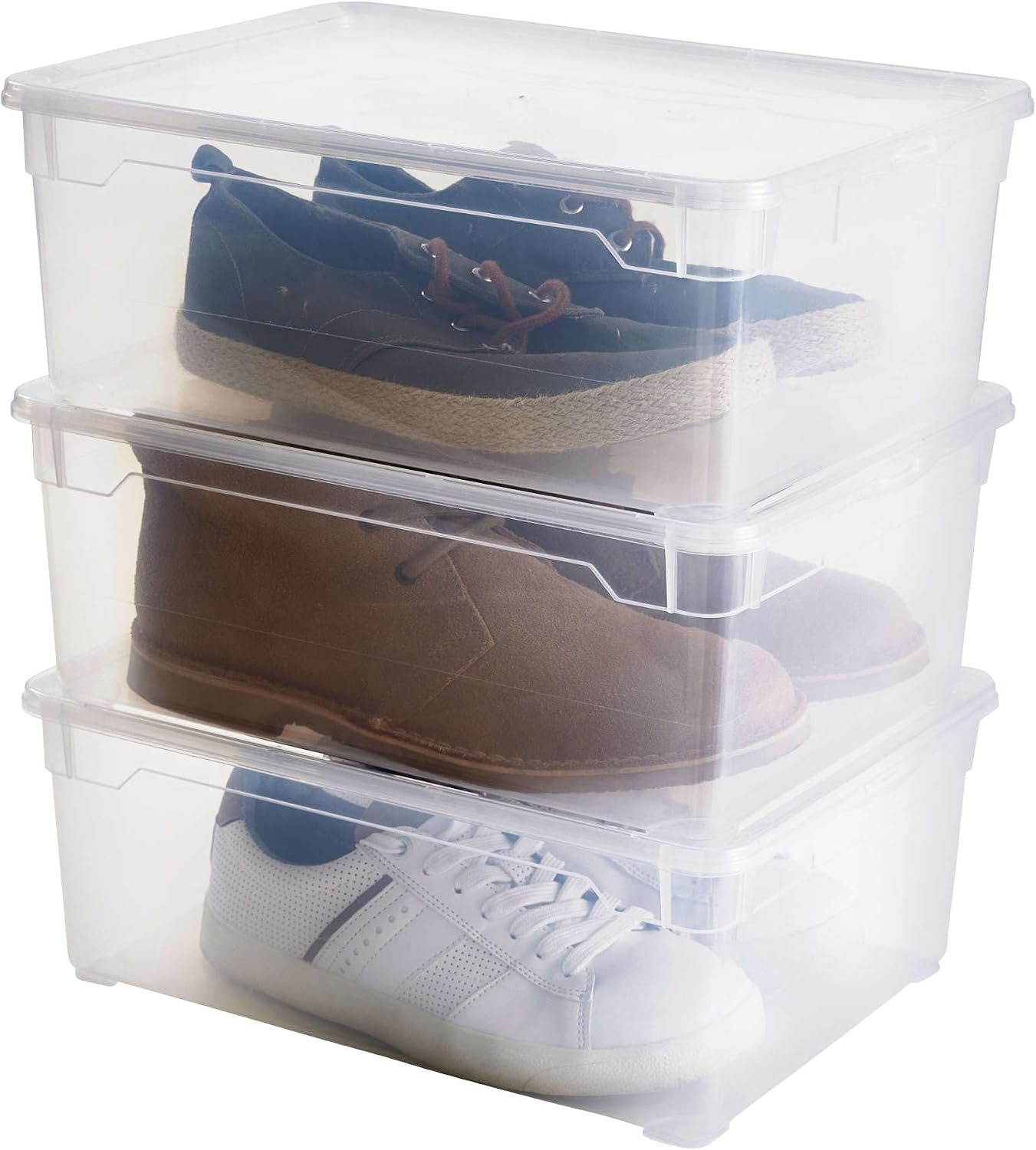 Rotho, Clear, Set of 3 storage boxes 10l with lid, Plastic (PP) BPA-free, transparent, 3 x 10l (36,0 x 26,0 x 22,0 cm)