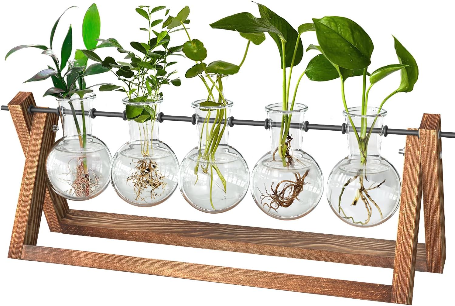 cfmour Plant Terrarium with Wooden Stand, Desktop Propagation Stations Glass Air Planter Metal Swivel Holder for Indoor Live Hydroponics Plants Office Home Garden Decor (5 Bulb Vase)