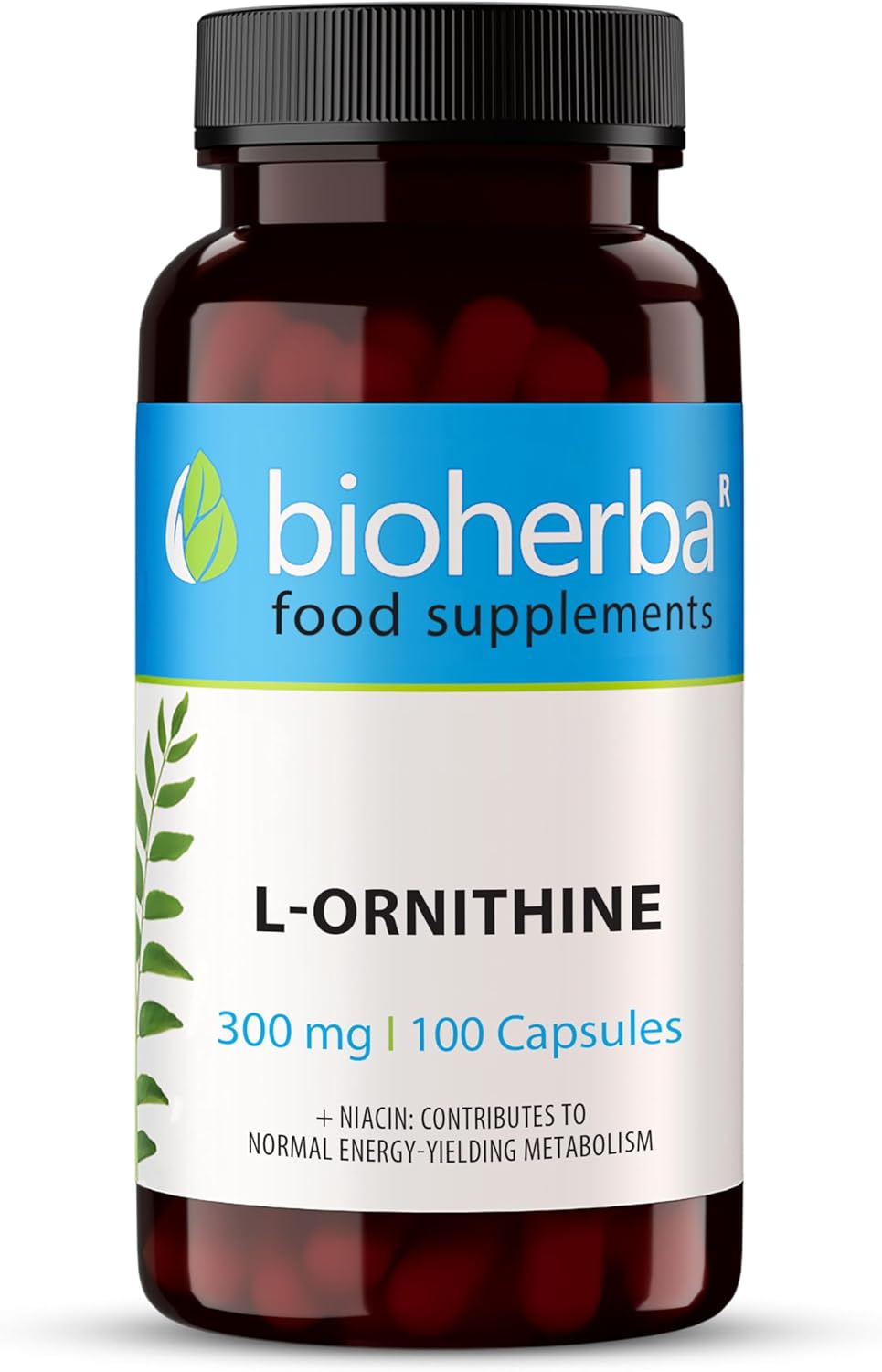 L-Ornithine 300 mg – 100 Capsules | Pure Amino Acid Supplement for Active Nutrition by BIOHERBA