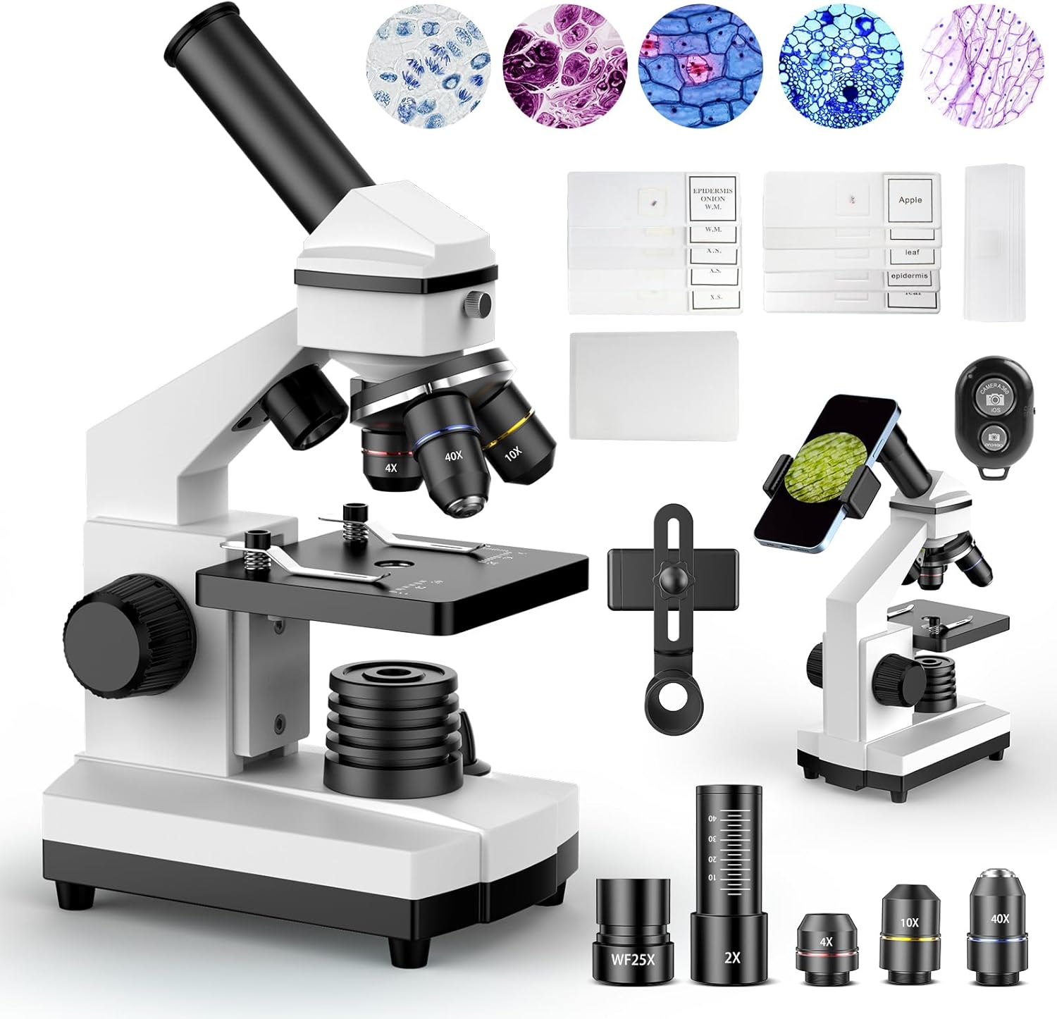 Microscopes for Kids Students Adults, 100X-2000X Powerful Biological Microscopes for Home Education,with Microscope Slides Set, Phone Adapter,white