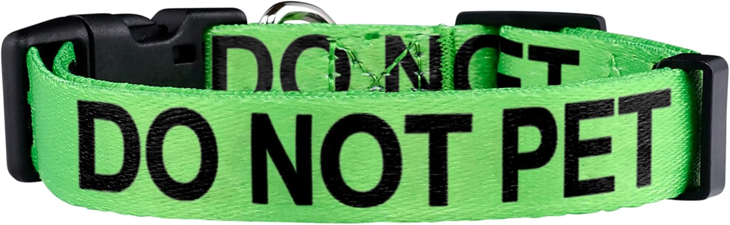 Native Pup Do Not Pet Dog Collar (Small)