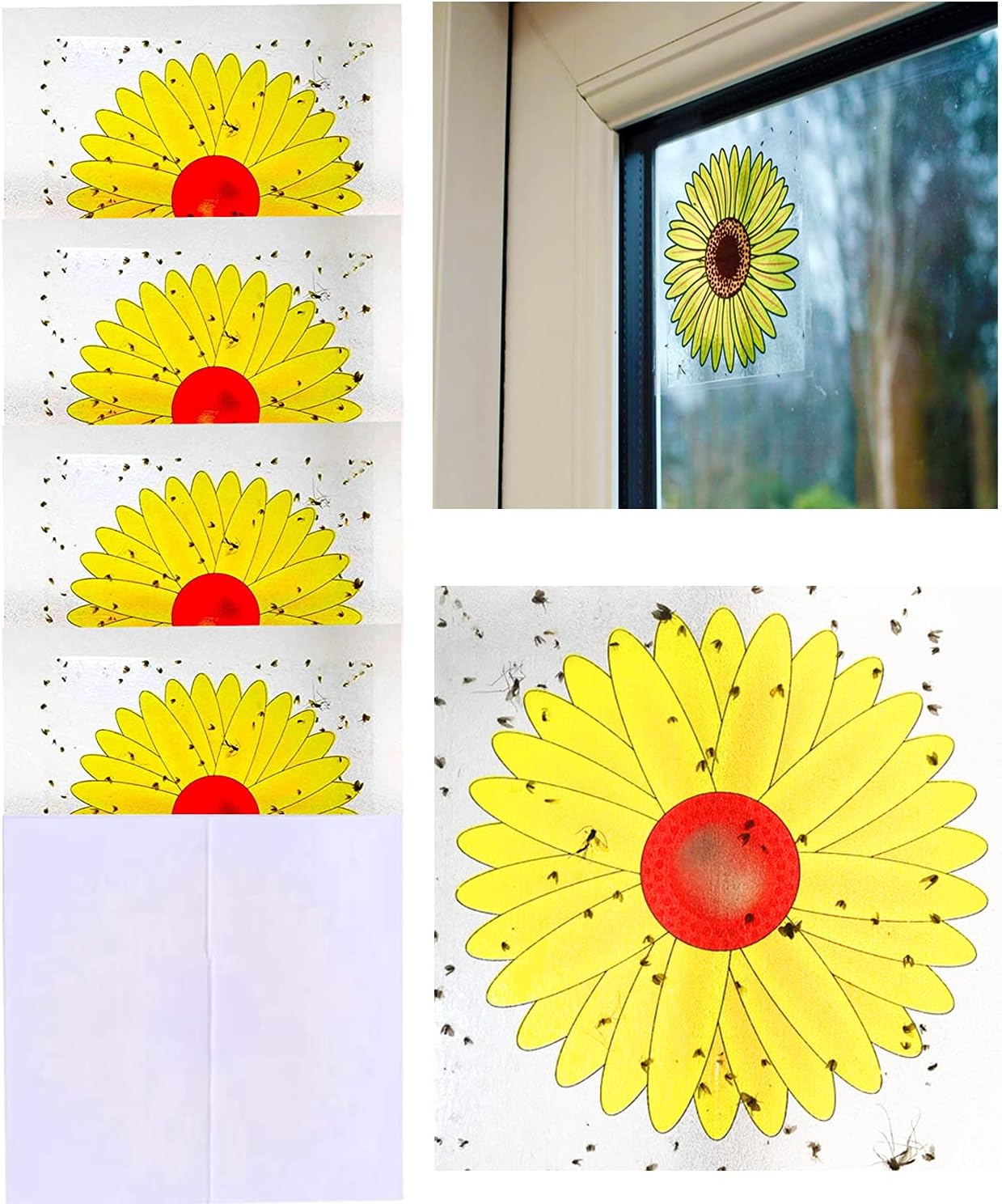 16PCS Window Fly Traps, Sunflower Style Window Fly Stickers, Fruit Fly Trap Insect Flies Wasp Pest Killer - 4 Packs x 4 Traps Each Package