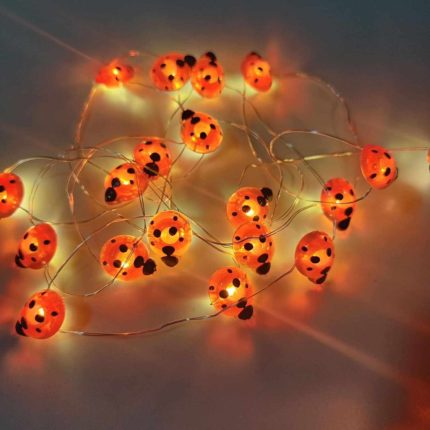 DINOWIN Ladybird Fairy Battery Operated 9.8Ft 30 LED Ladybug String Lights Silver Wire for Bedroom, Valentine's Day Decorative, Christmas (Red)