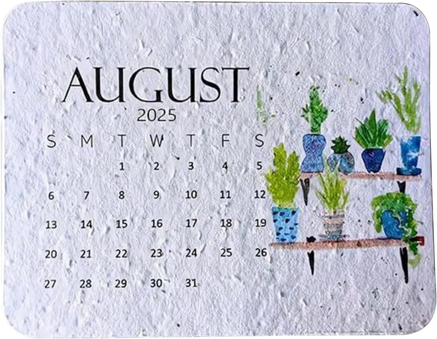 Opilroyn 2025 Paper Calendar - Daily Planner Calendar, Plantable 12 Months Calendar, Degradable Germination Seeds Paper Calendar Plantable Calendar 2025 Calendar White Wildflower Seeds Calendar On Pap