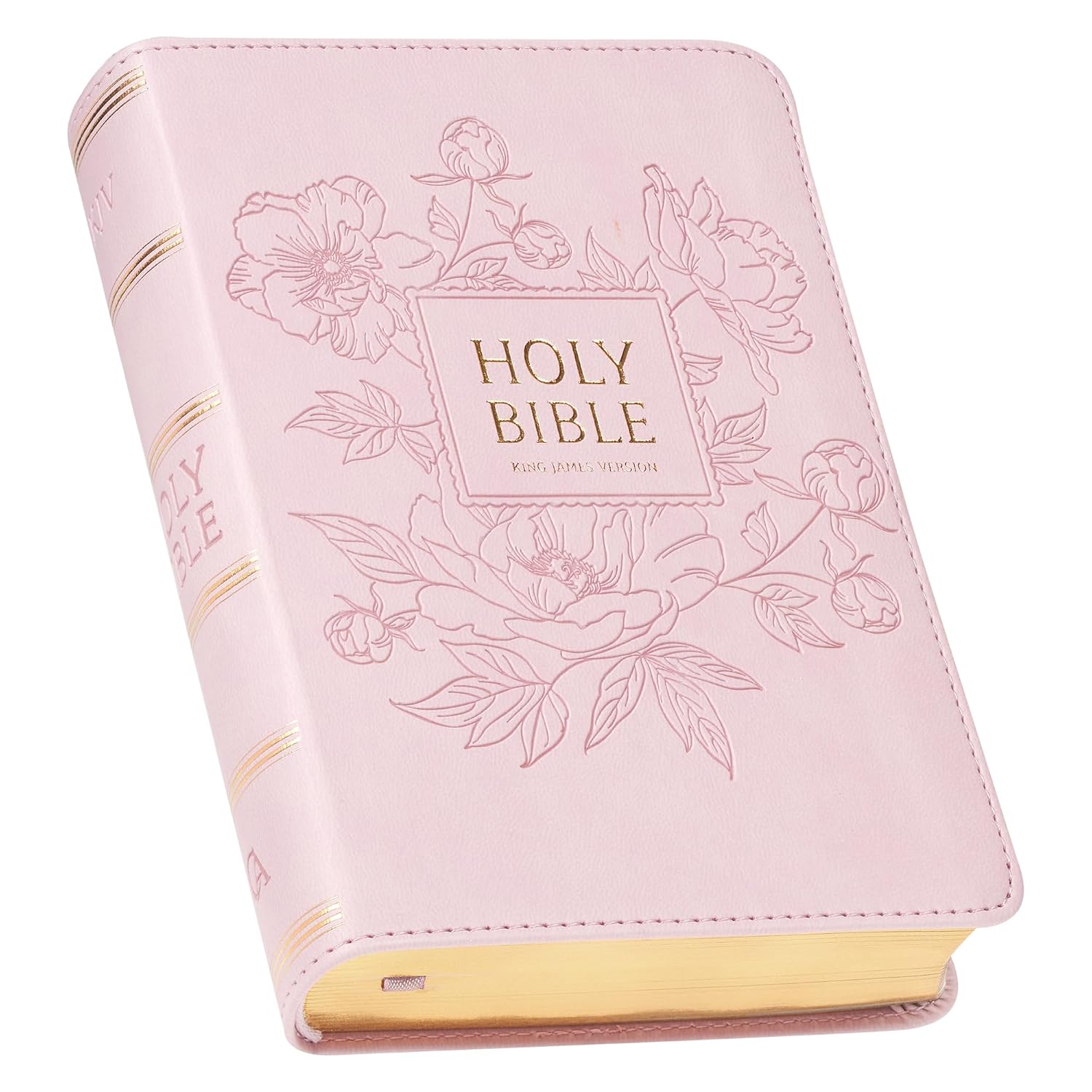 KJV Holy Bible, Compact Large Print Faux Leather Red Letter Edition Ribbon Marker, King James Version, Ballet Pink (KJV Compact LP Editions)
